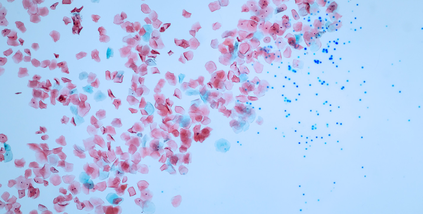 Photo: Sustainability Times