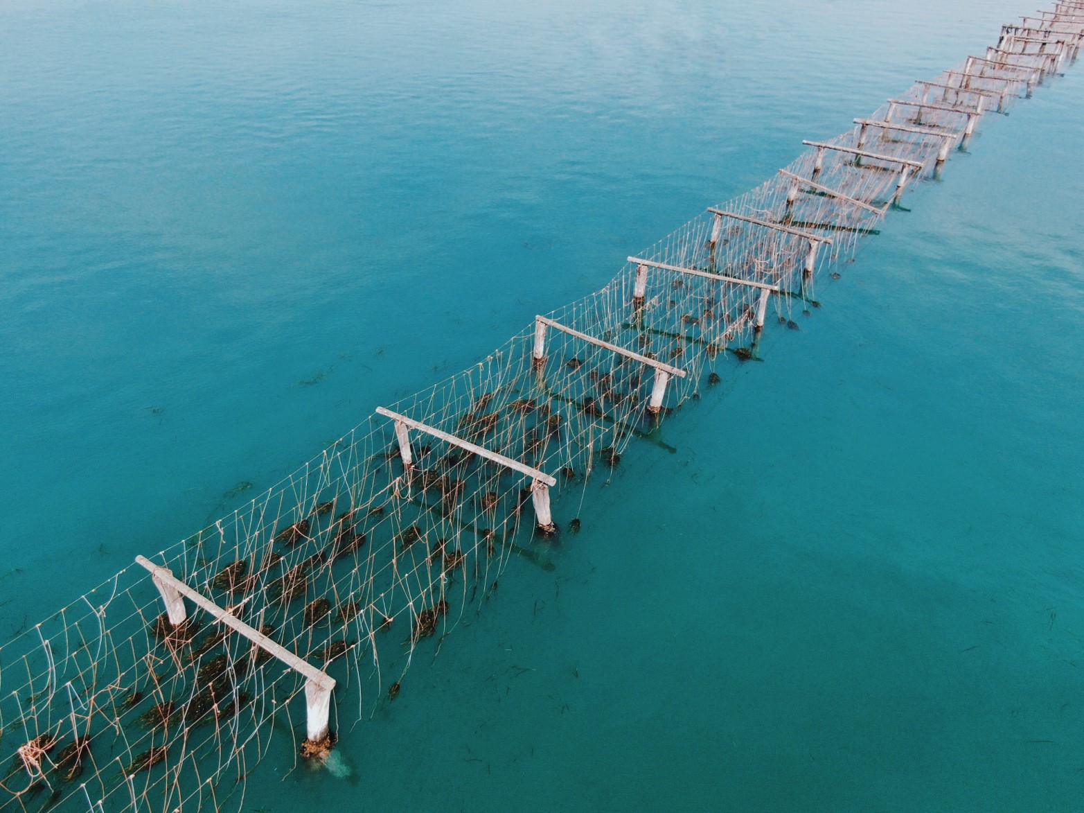 Photo: Mariana Mata-Lara