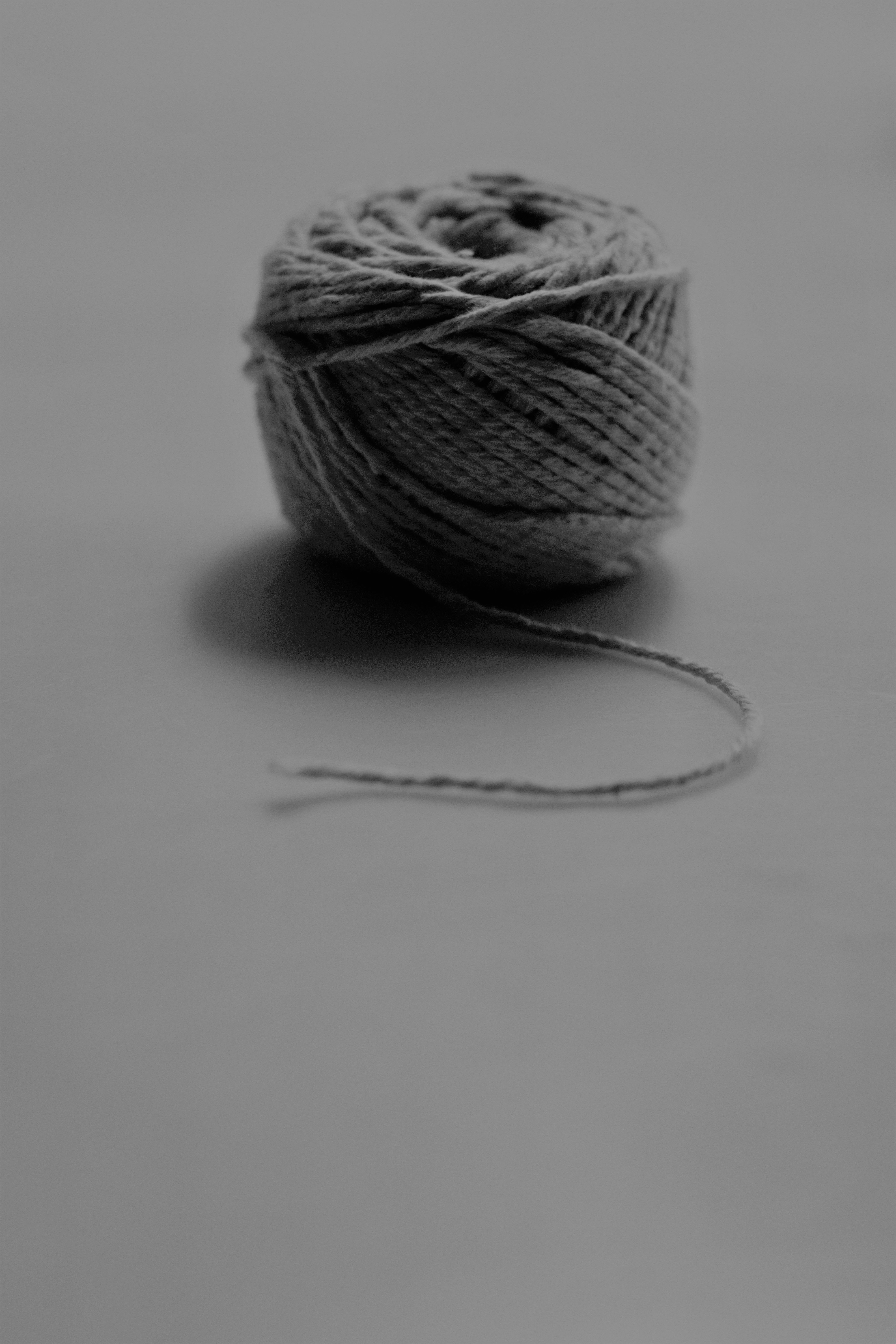 Photo: Elmarie van Rooyen