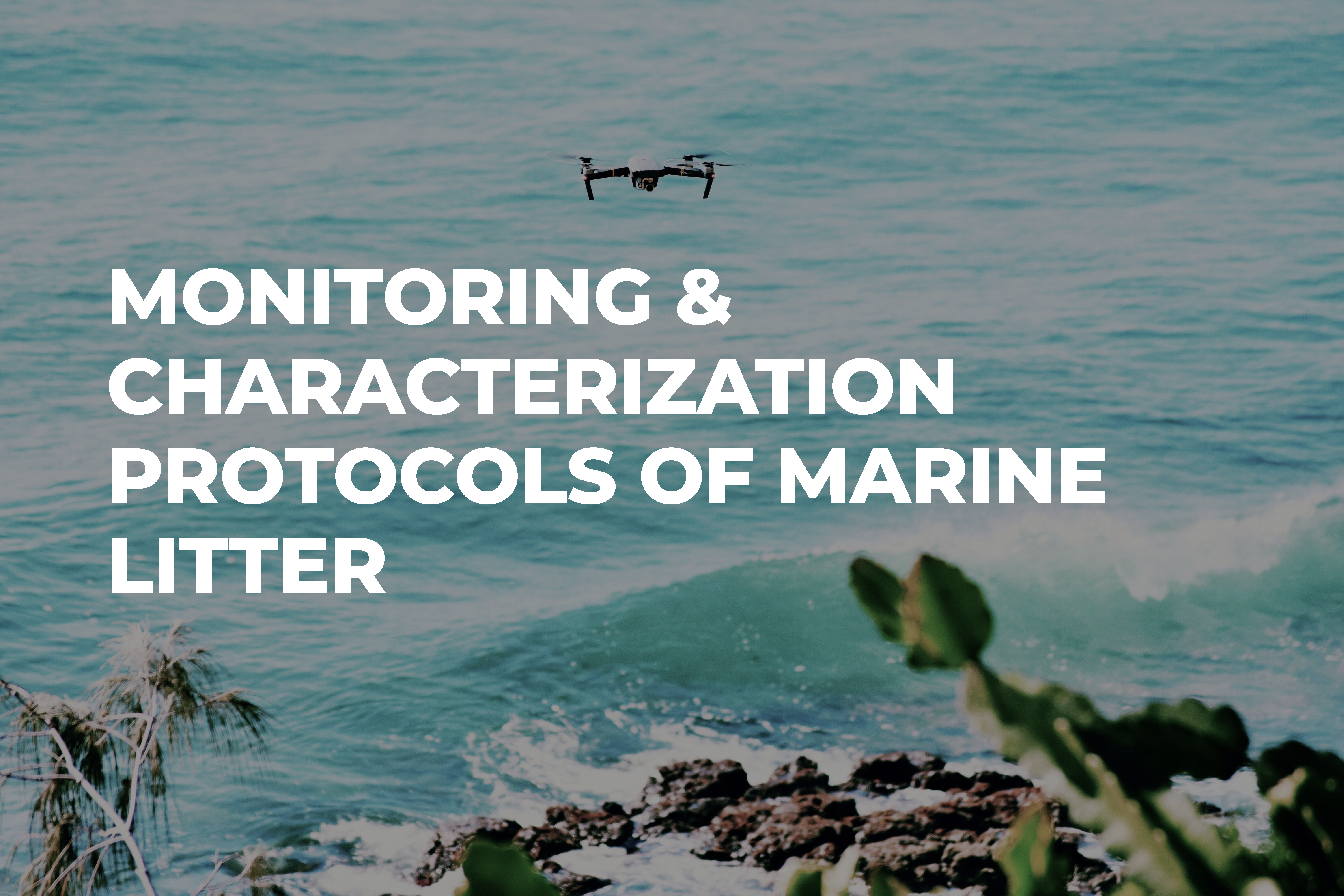 Original photo: Nick Sarvari