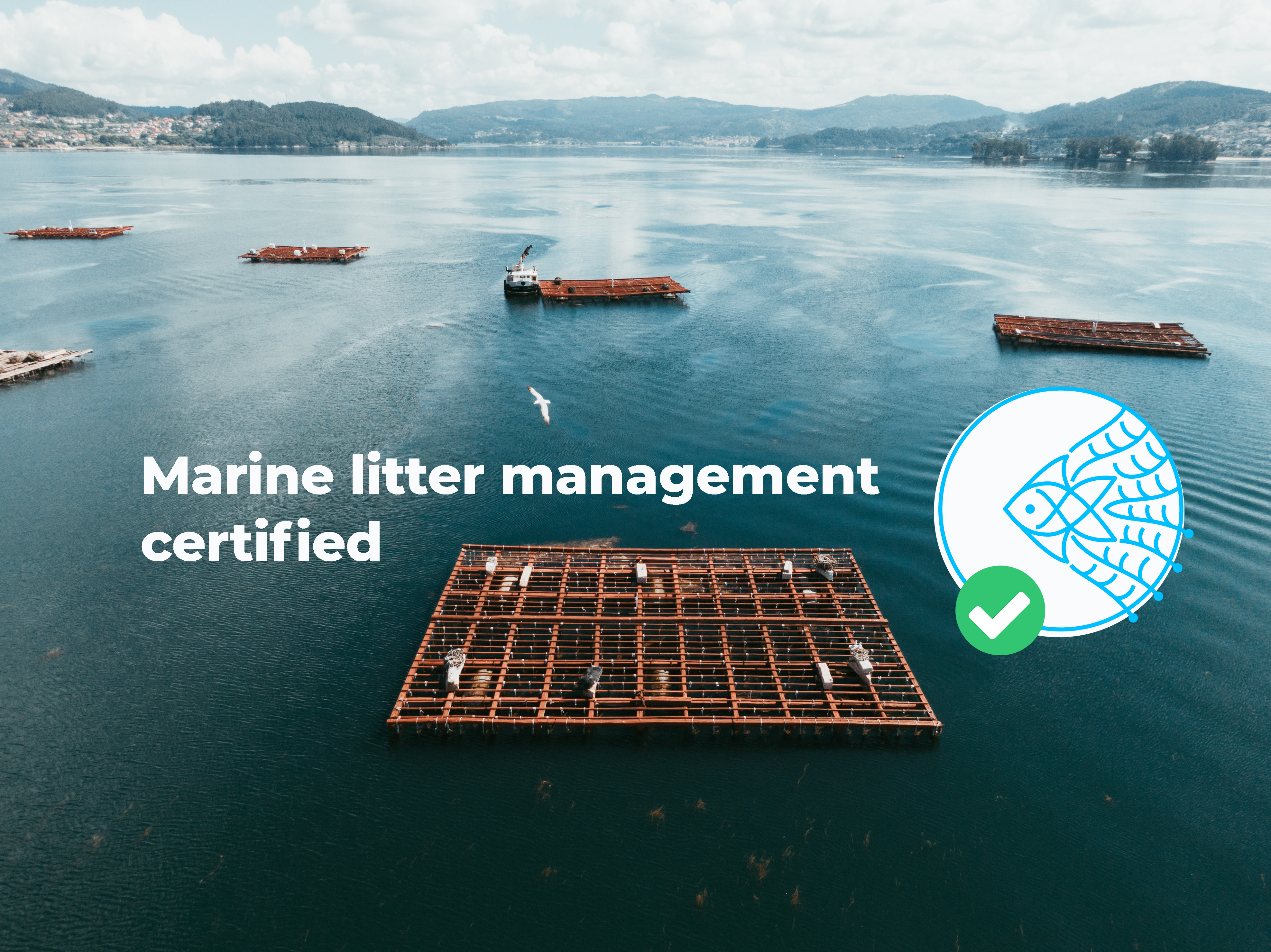 Original photo: Mariana Mata-Lara