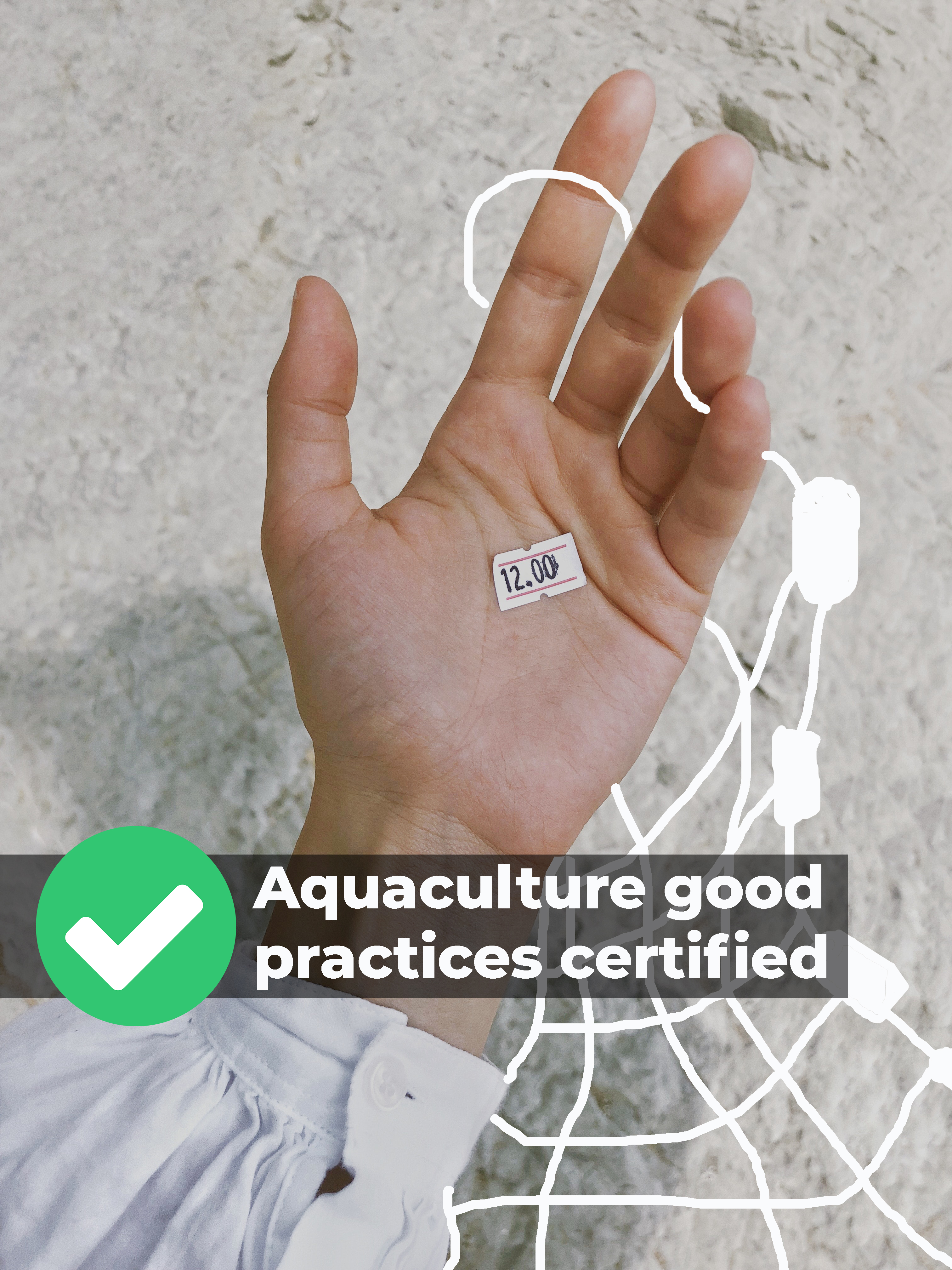 Original photo: Daria Shetsova