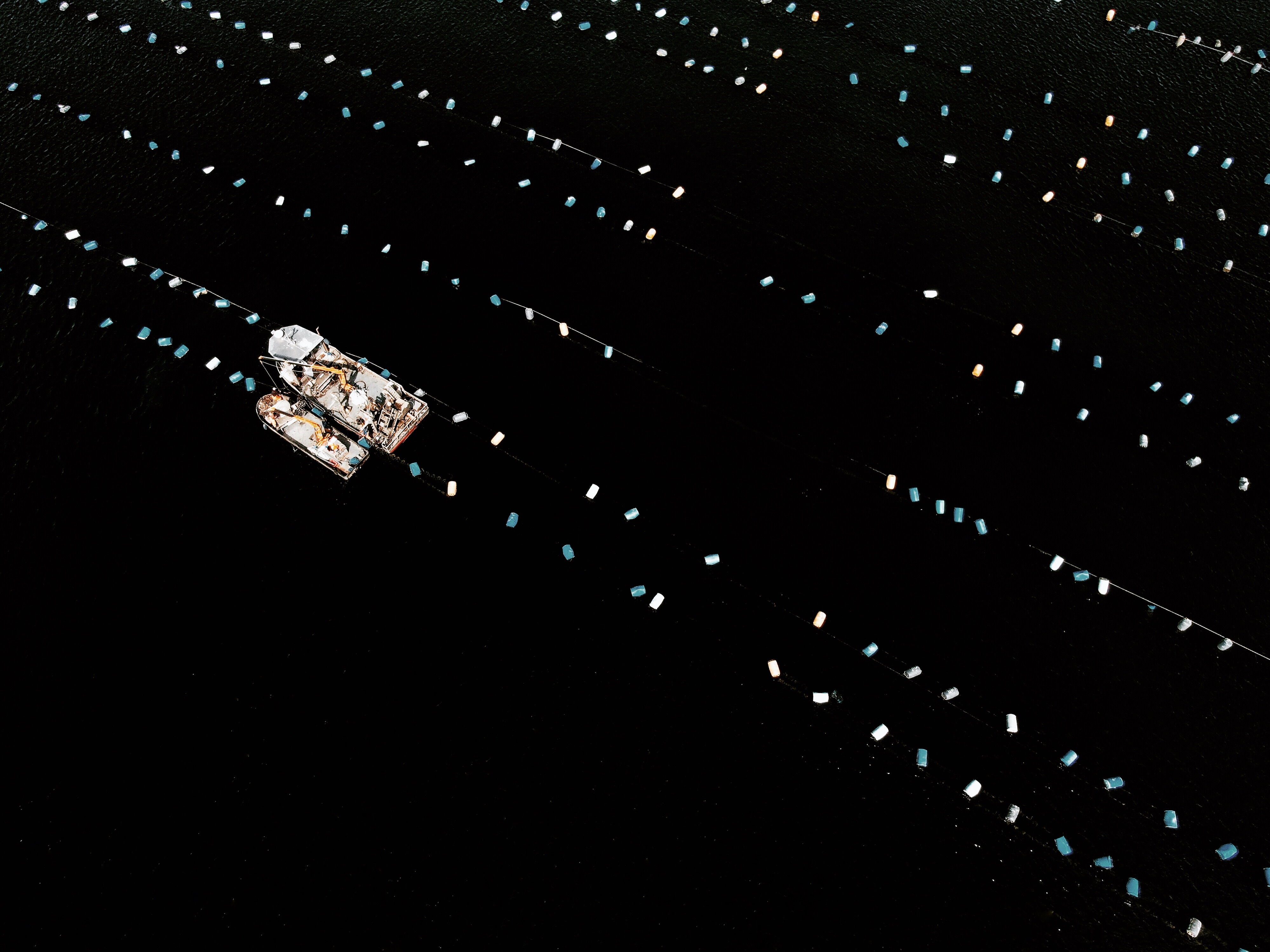 Photo: Mariana Mata-Lara