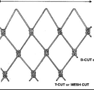 Image: Research Gate