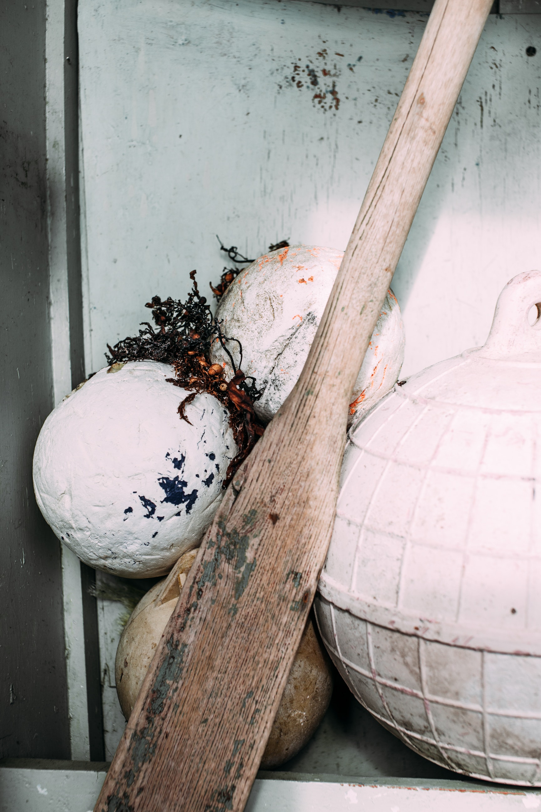 Photo: Rachel Claire