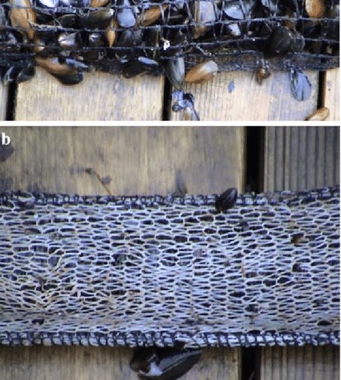 Photo:  Jean-Sebastien Lauzon-Guay