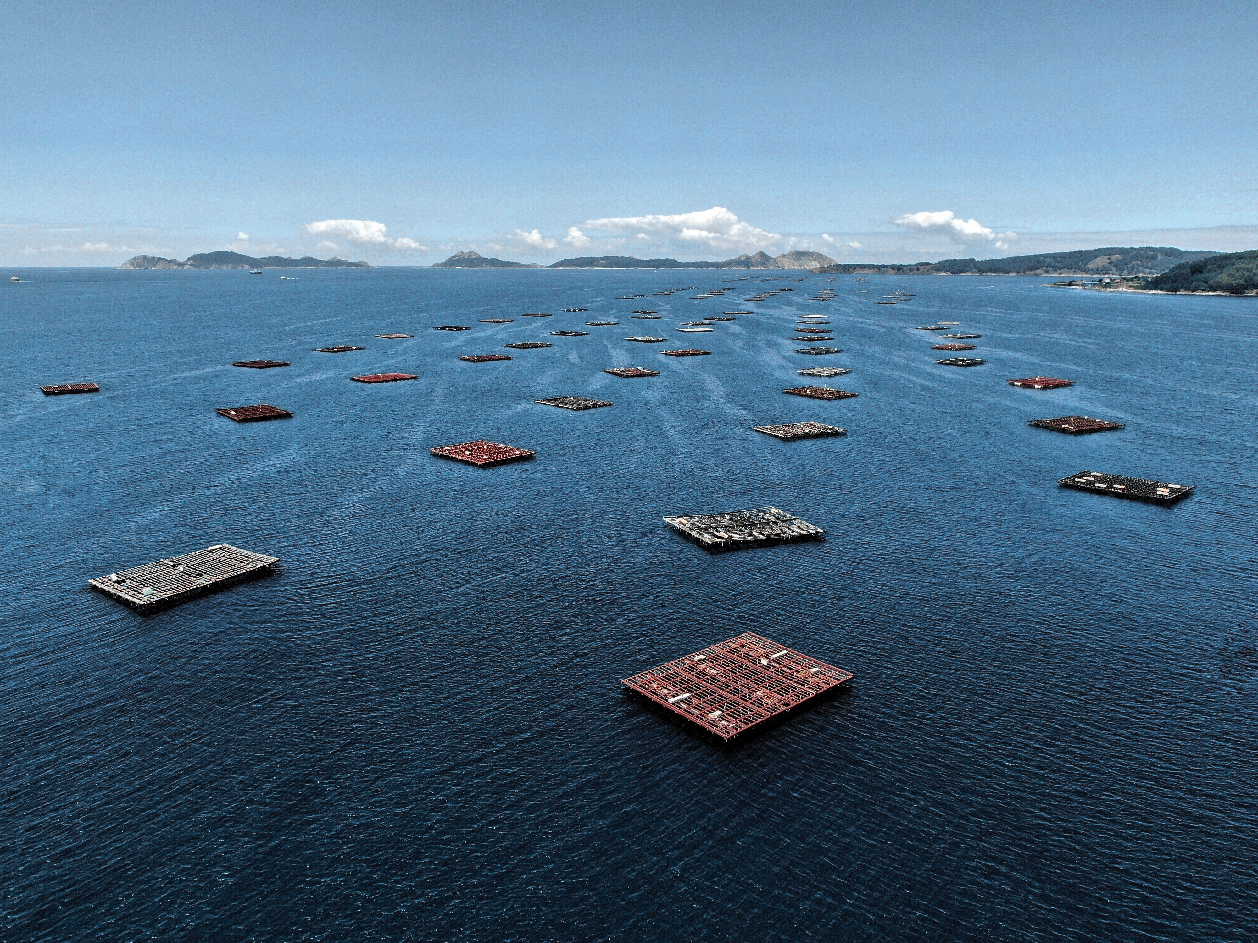 Photo: Mariana Mata-Lara