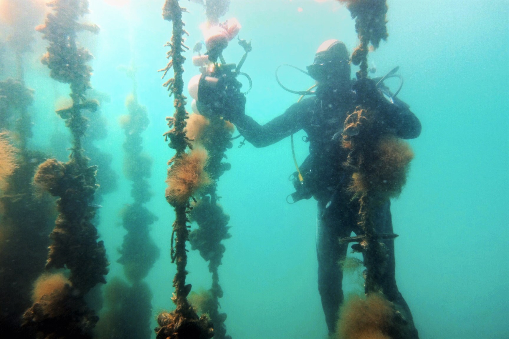 Photo: Mariana Mata-Lara