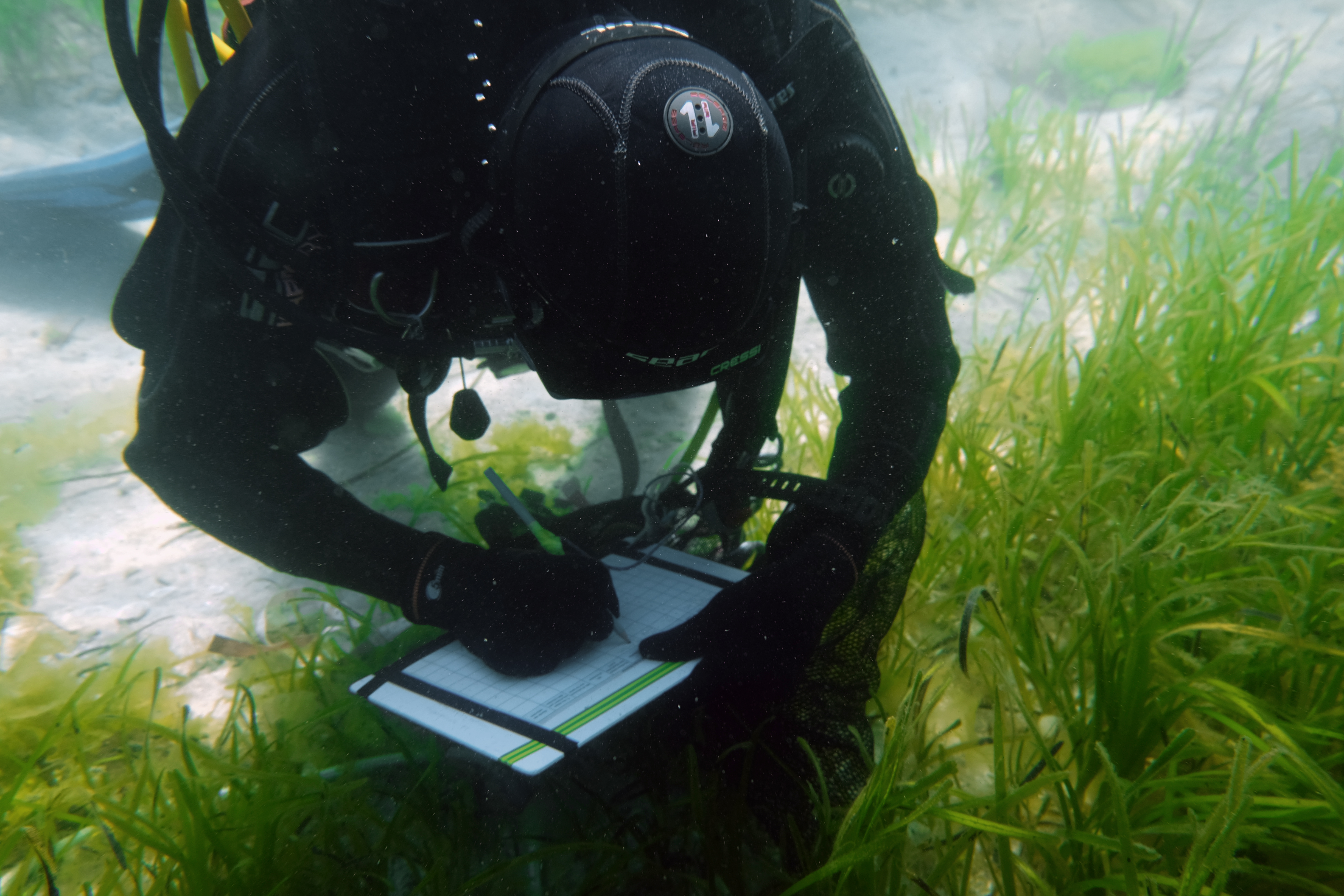 Photo: Mariana Mata-Lara