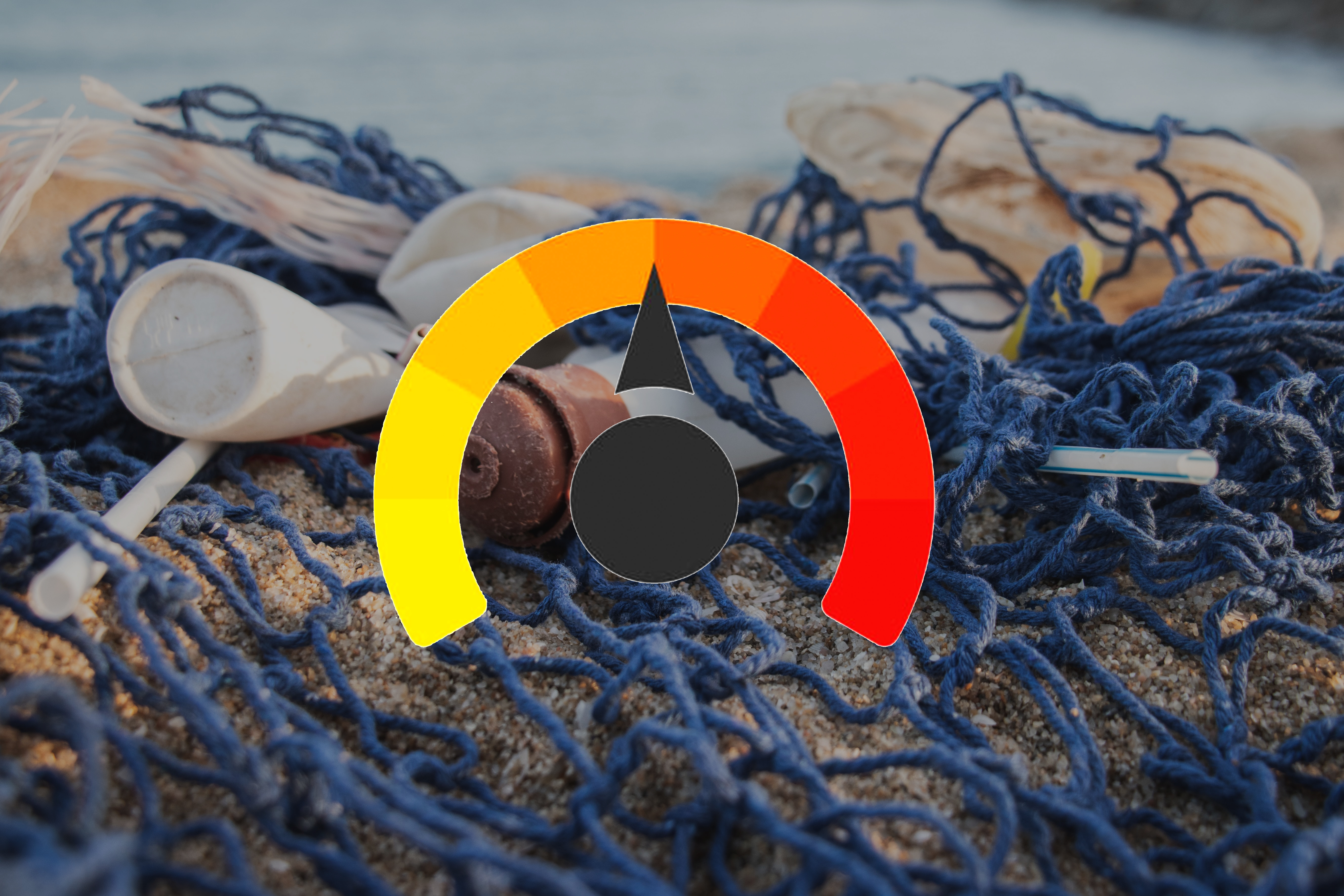 Original photo: Angela Compagnone