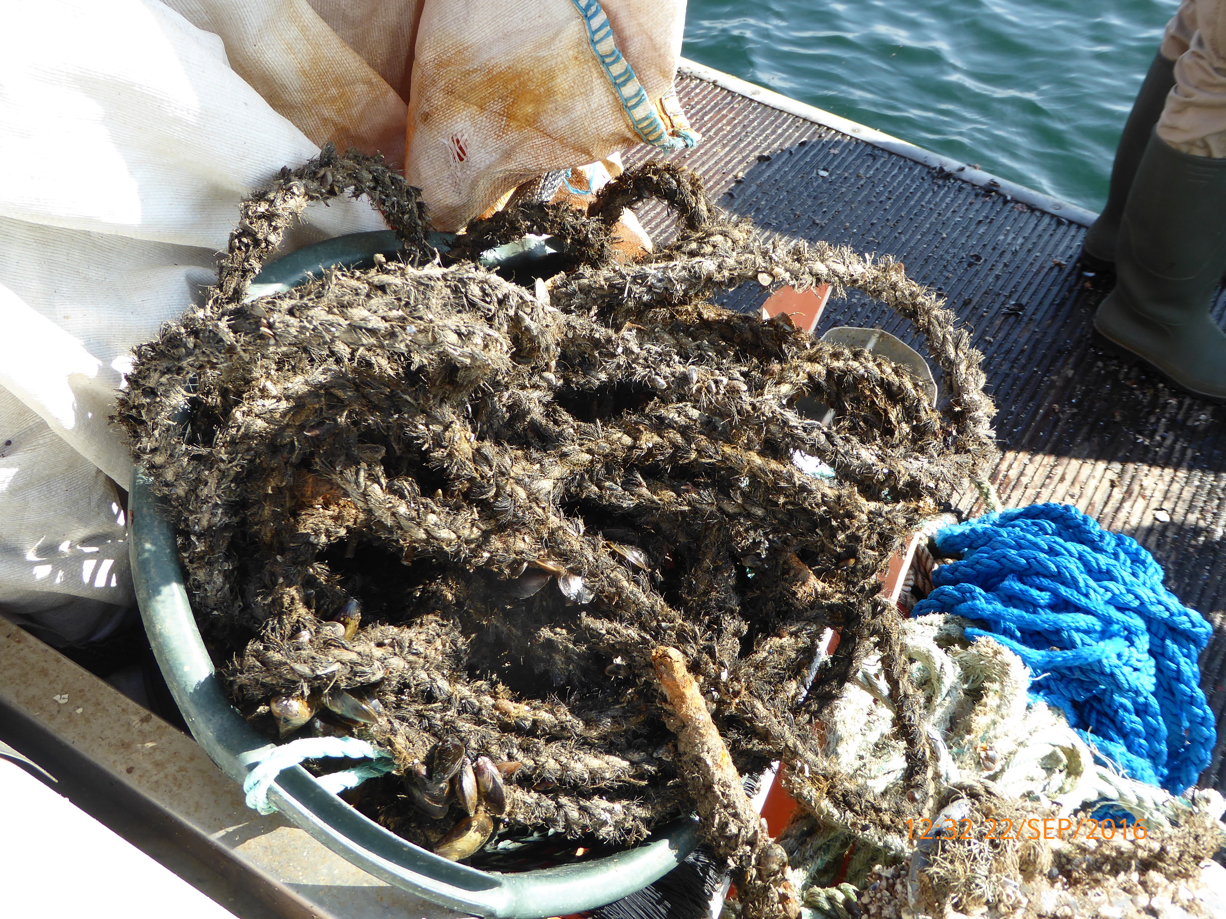 Ropes of different material - Efthalia Arvaniti