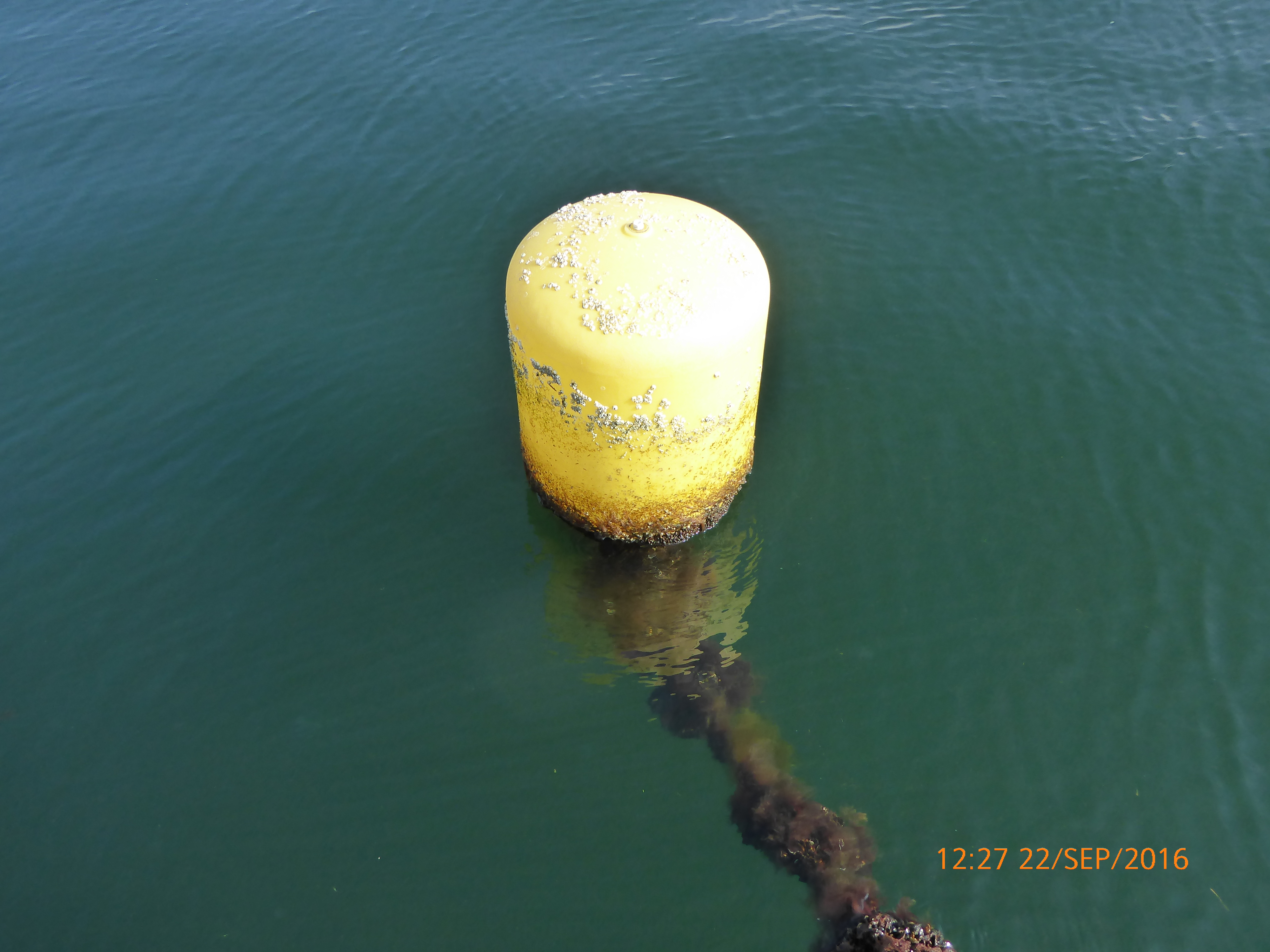 Plastic buoy - Efthalia Arvaniti