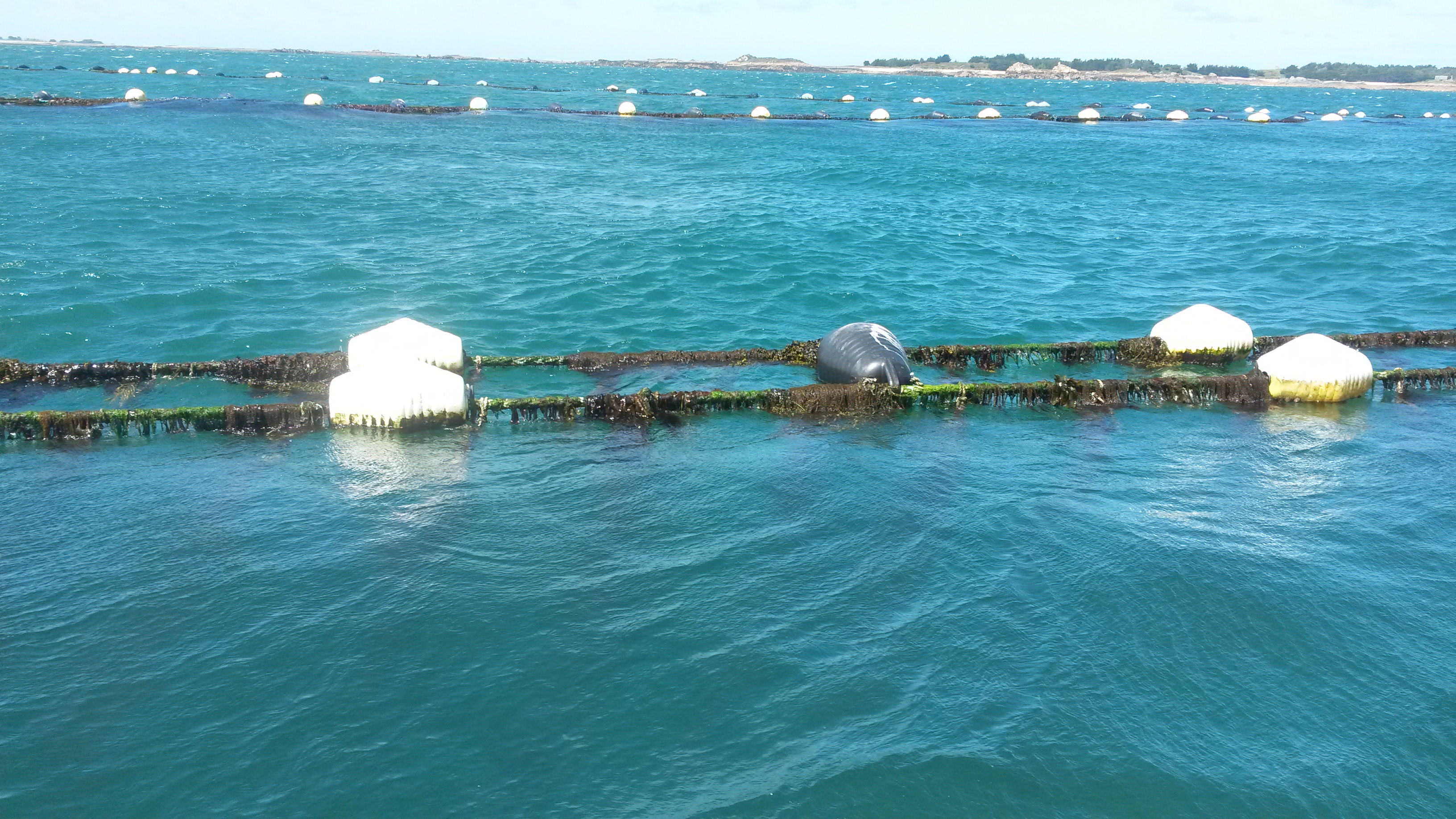 Buoys - Efthalia Arvaniti