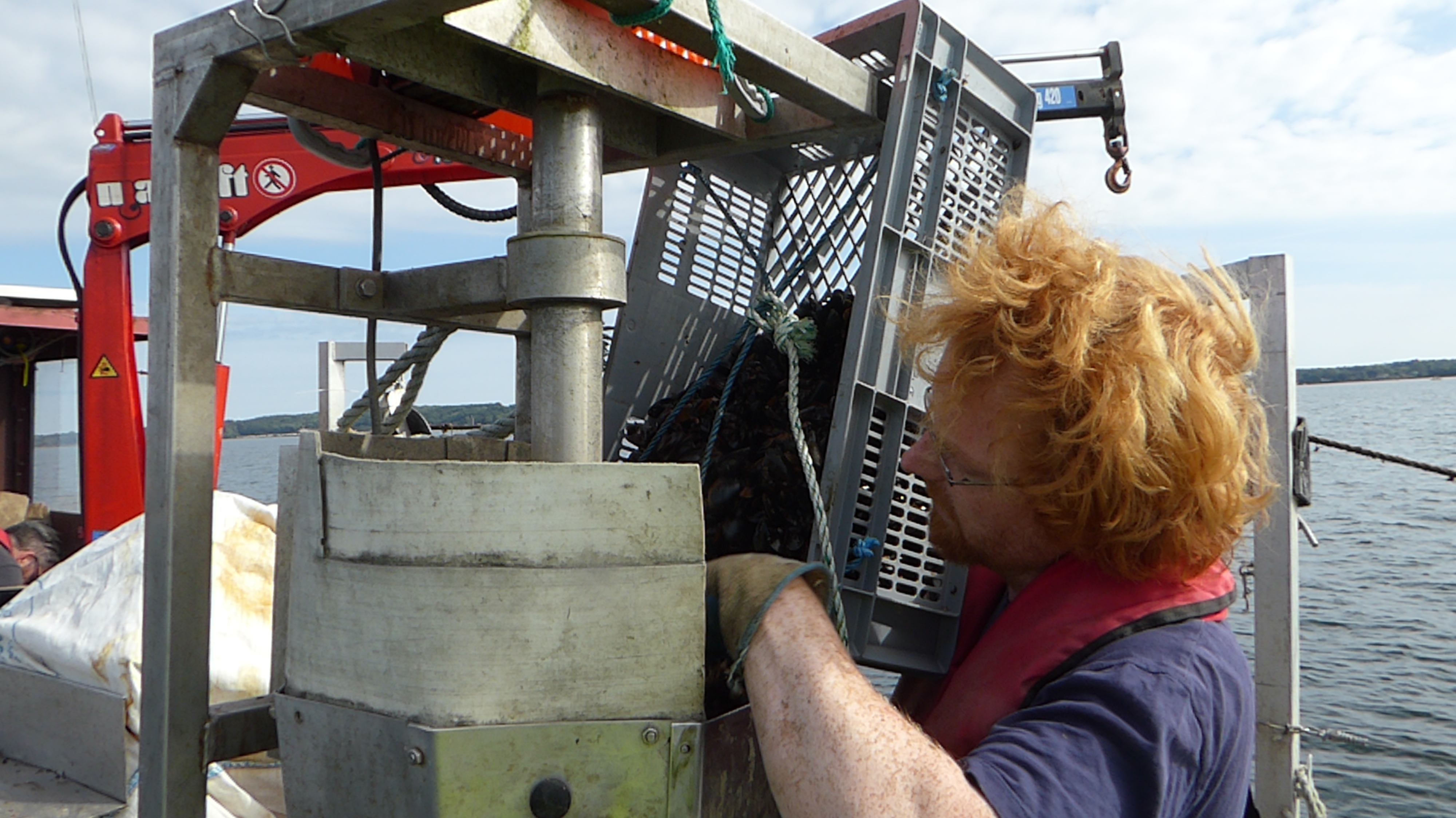 Compliance of farmers - Efthalia Arvaniti