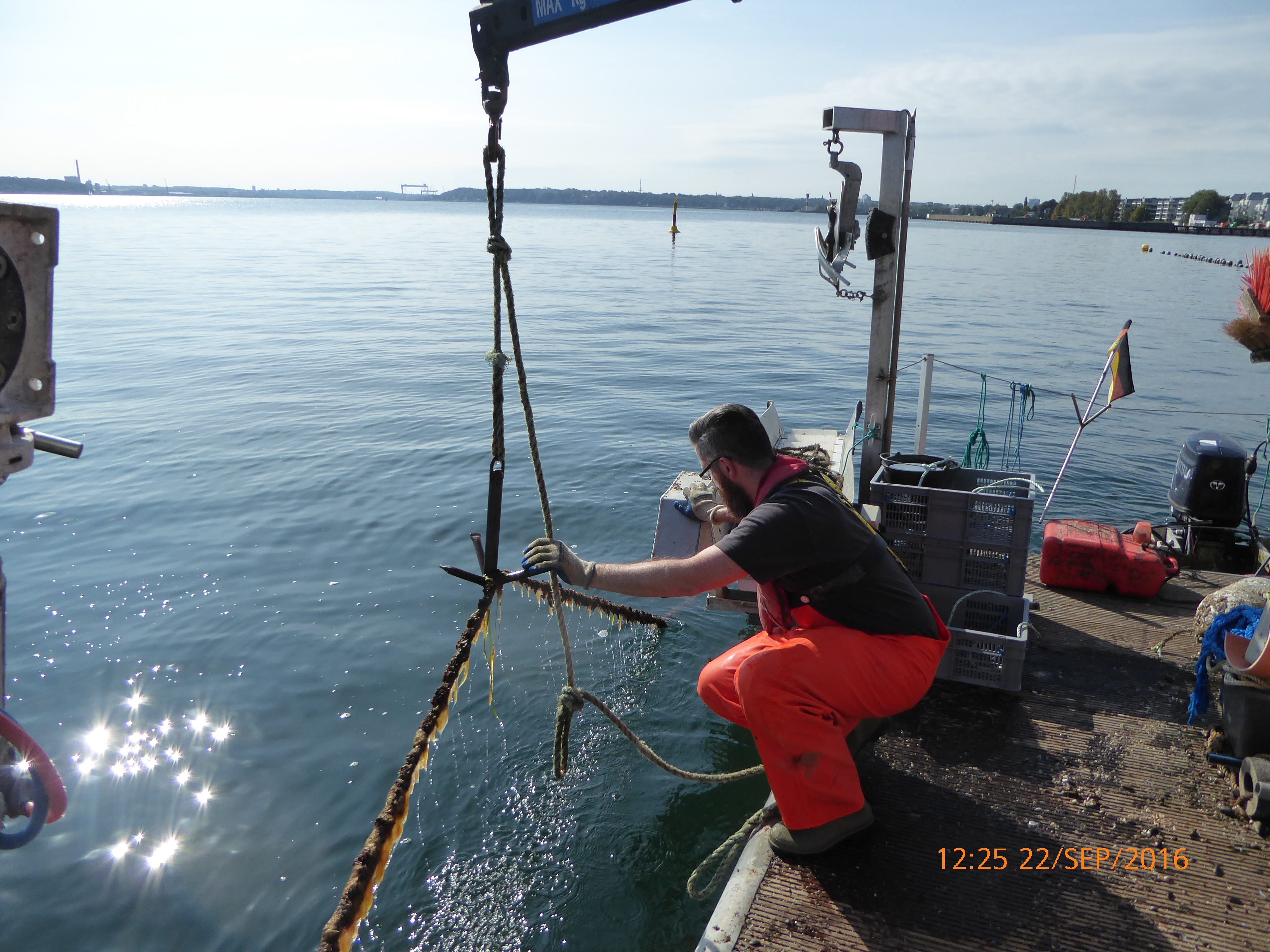 Smaller companies pay fee to larger companies - Efthalia Arvaniti