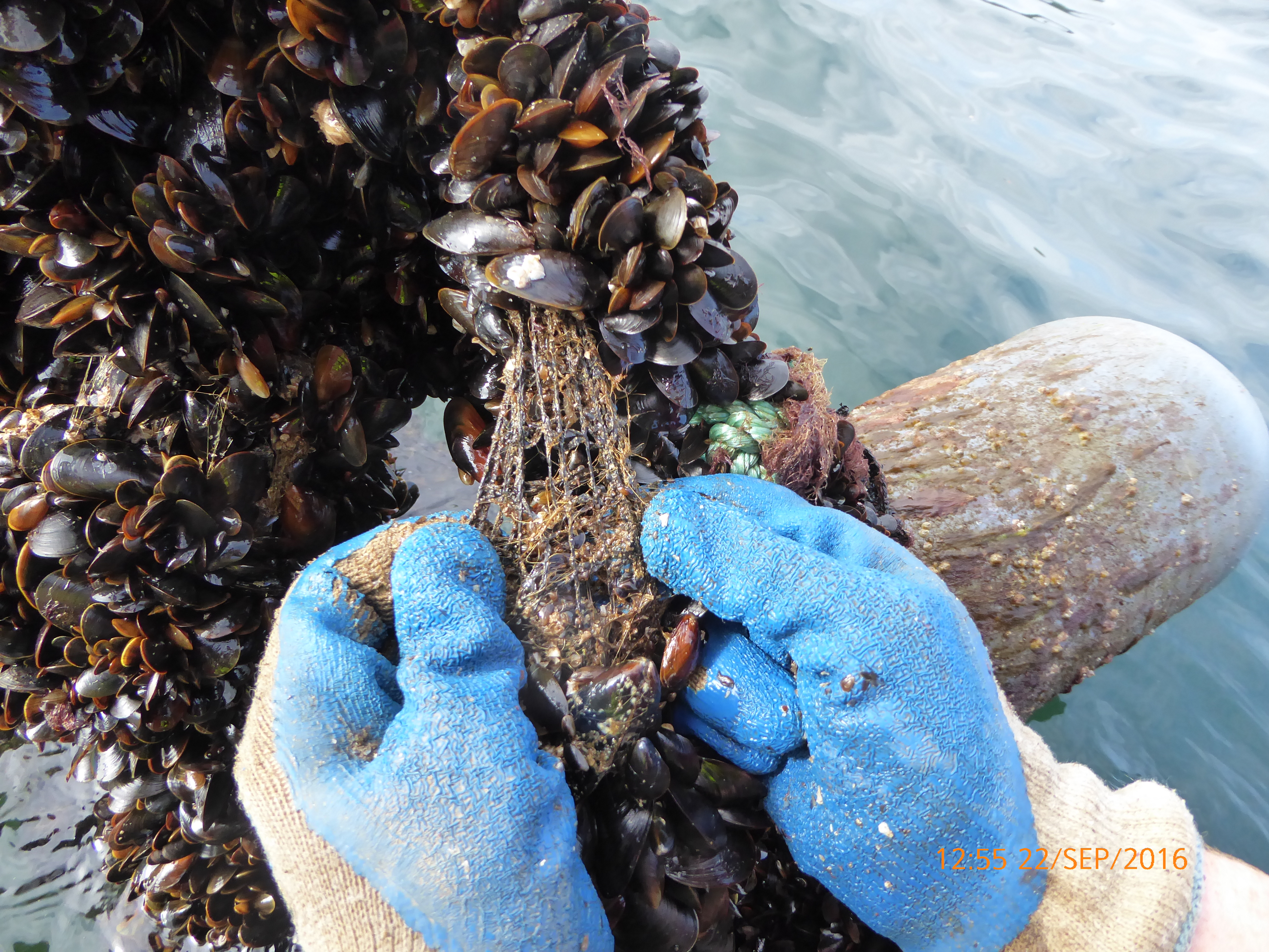 Socking material as source of plastic waste